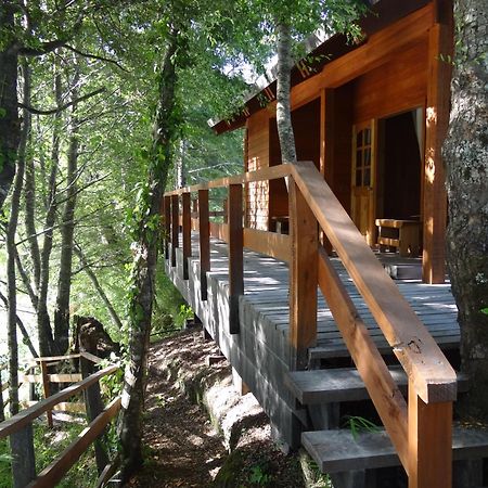 Villa Patagonia Mawida à Neltume Extérieur photo