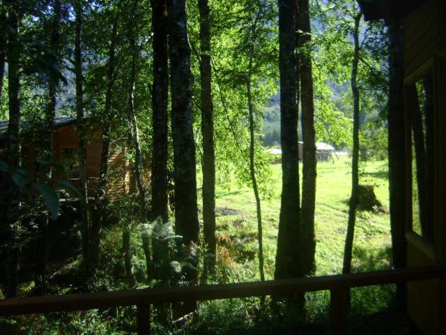 Villa Patagonia Mawida à Neltume Extérieur photo