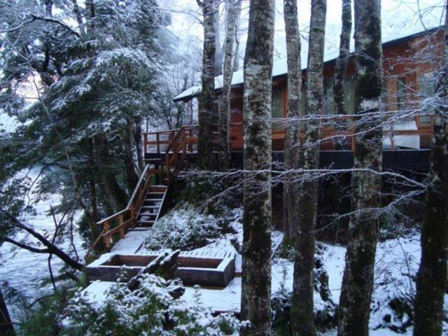 Villa Patagonia Mawida à Neltume Extérieur photo