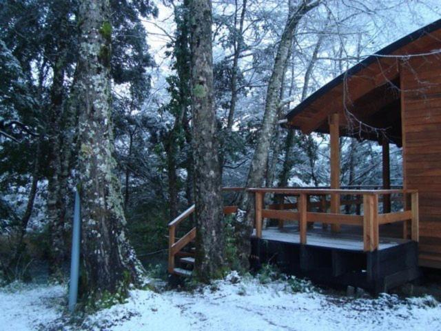 Villa Patagonia Mawida à Neltume Extérieur photo