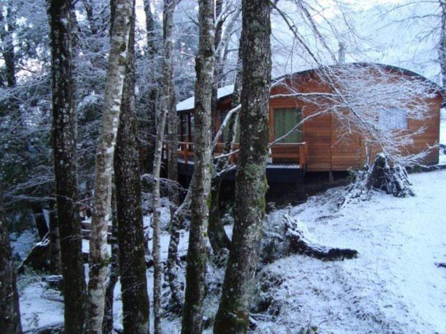 Villa Patagonia Mawida à Neltume Extérieur photo