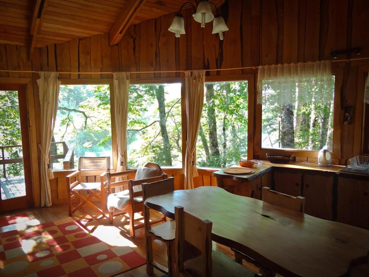 Villa Patagonia Mawida à Neltume Extérieur photo