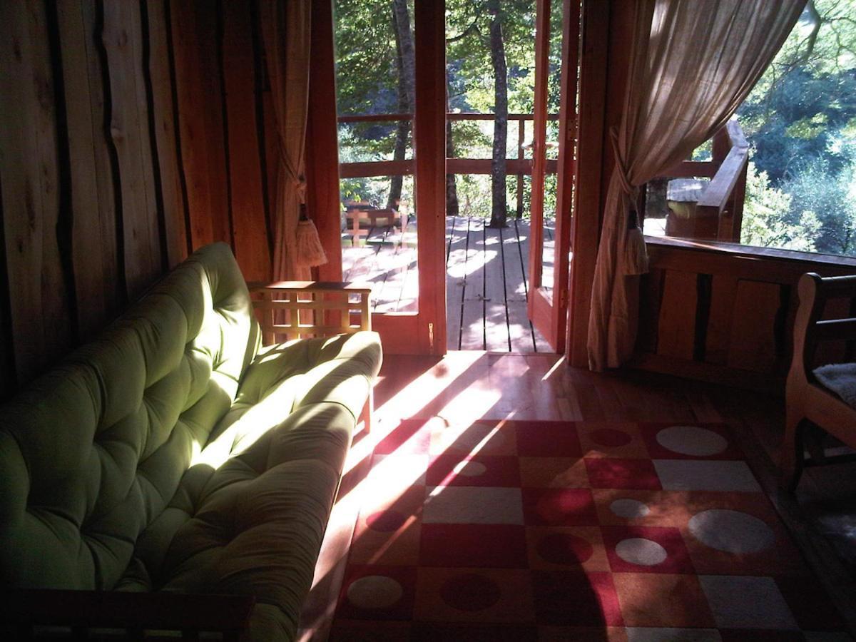 Villa Patagonia Mawida à Neltume Extérieur photo