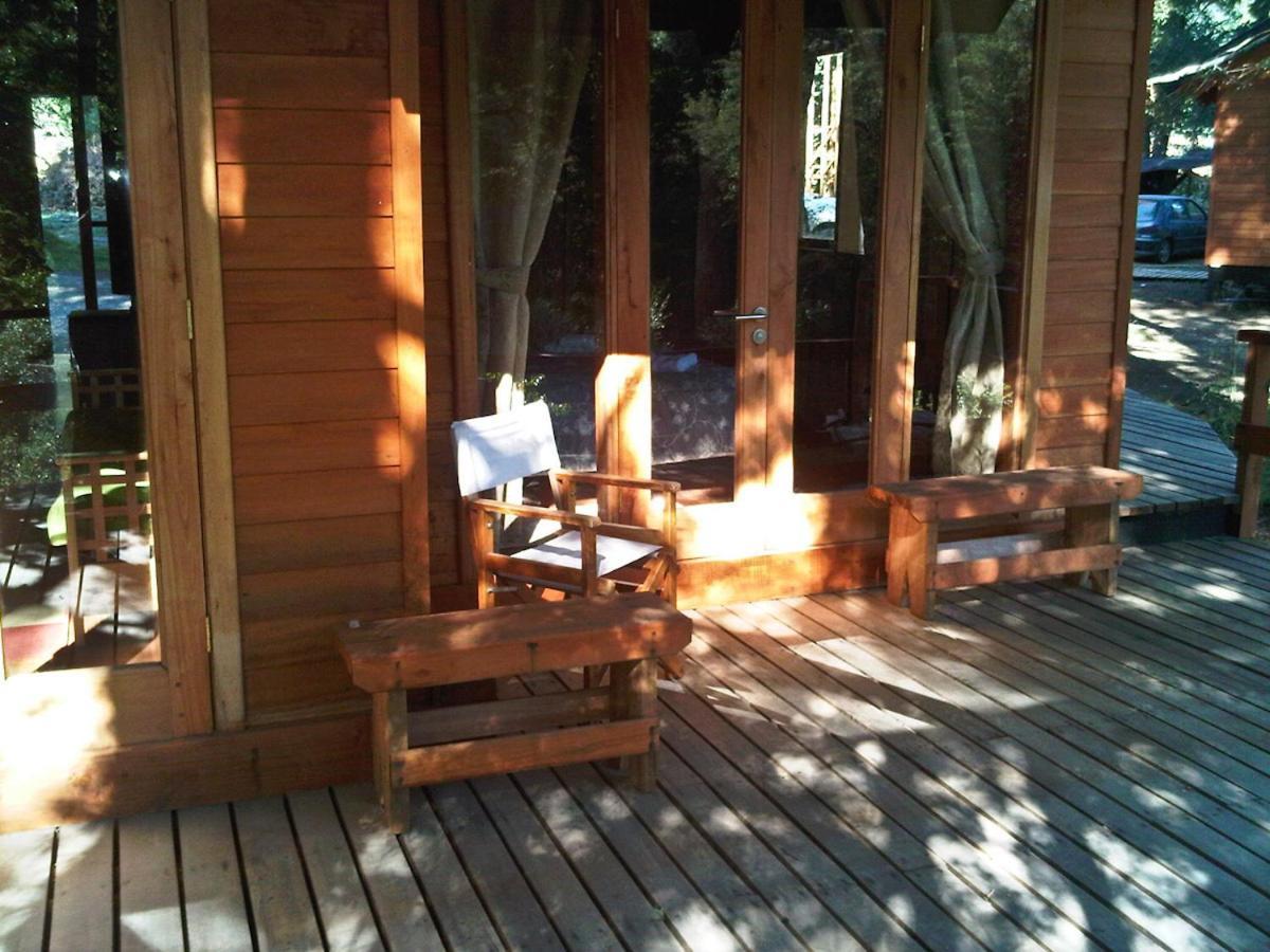 Villa Patagonia Mawida à Neltume Extérieur photo
