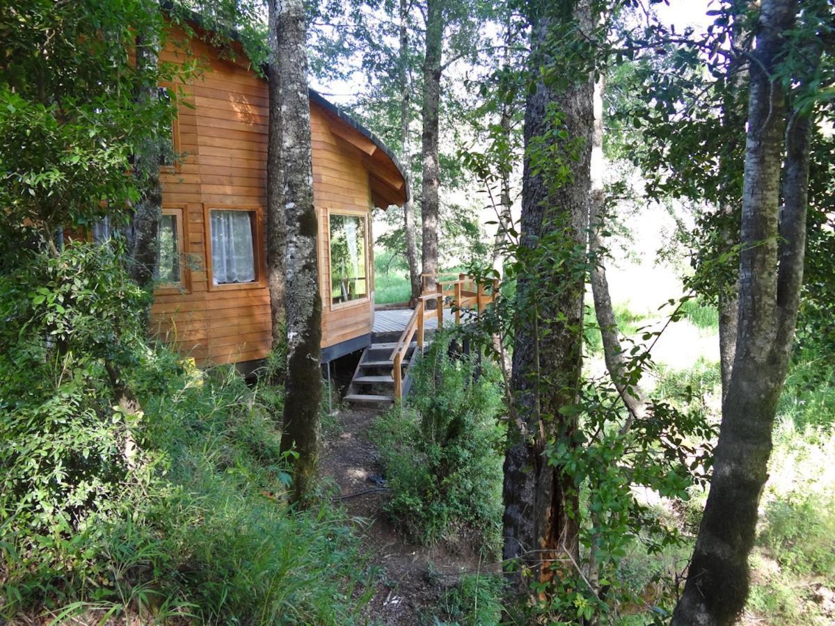 Villa Patagonia Mawida à Neltume Extérieur photo
