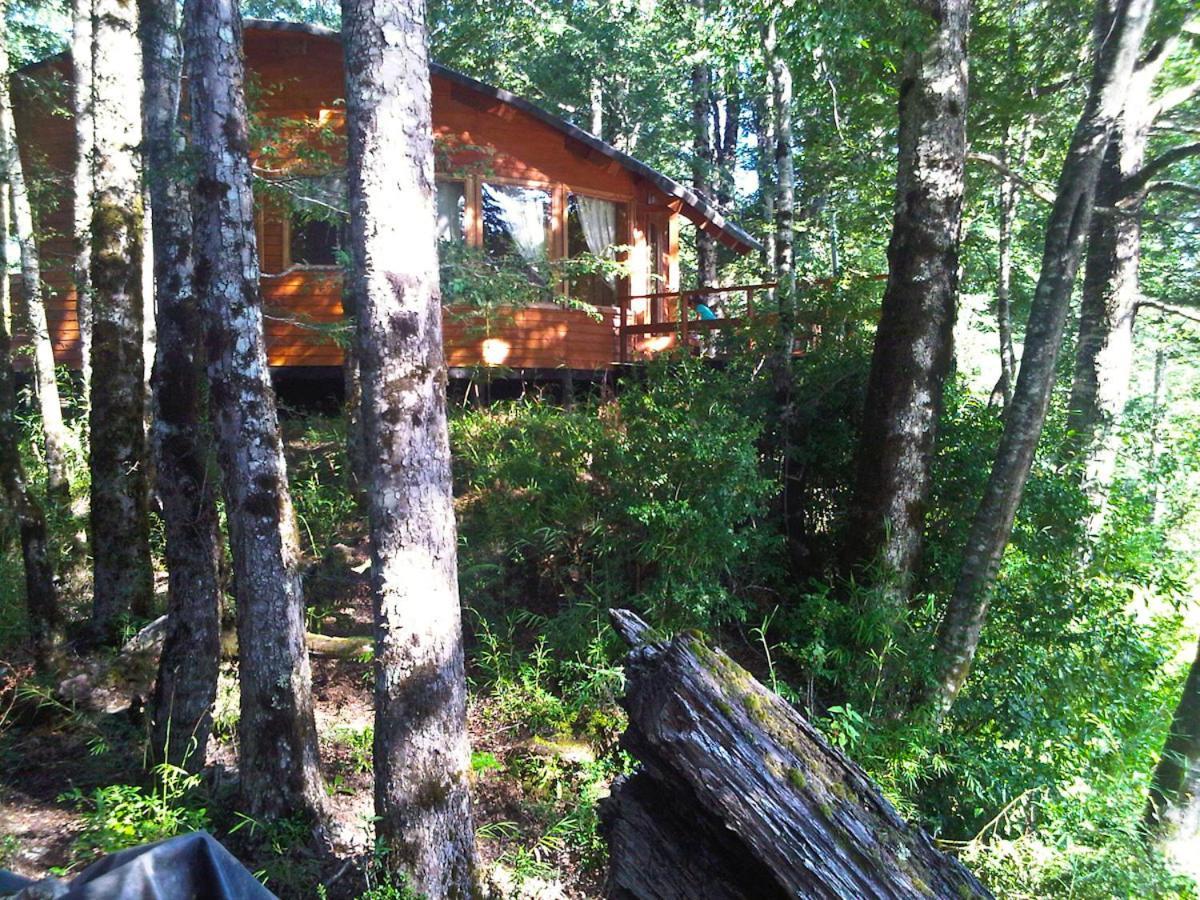 Villa Patagonia Mawida à Neltume Extérieur photo
