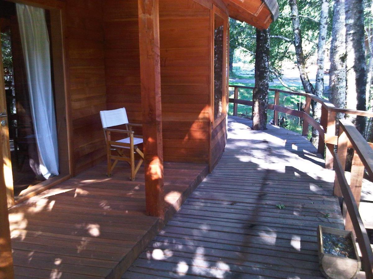 Villa Patagonia Mawida à Neltume Extérieur photo