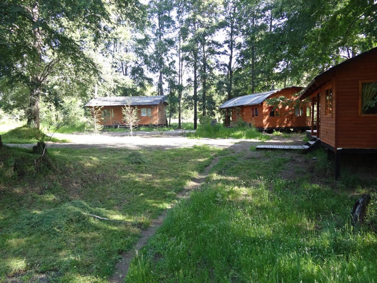 Villa Patagonia Mawida à Neltume Extérieur photo