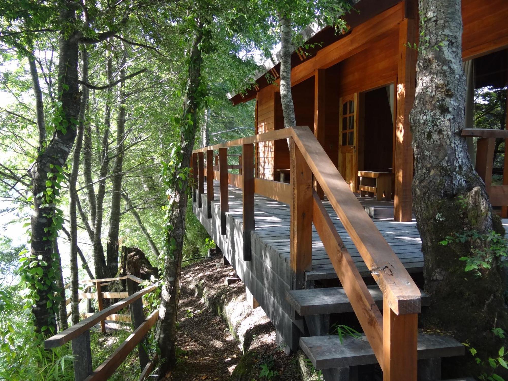 Villa Patagonia Mawida à Neltume Extérieur photo
